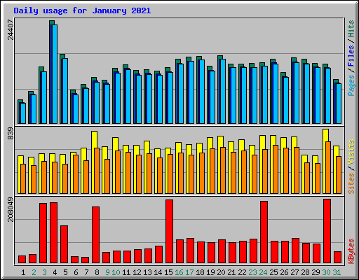 Daily usage for January 2021