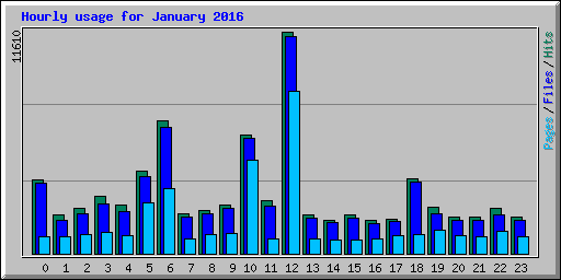 Hourly usage for January 2016