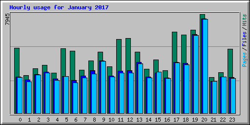 Hourly usage for January 2017