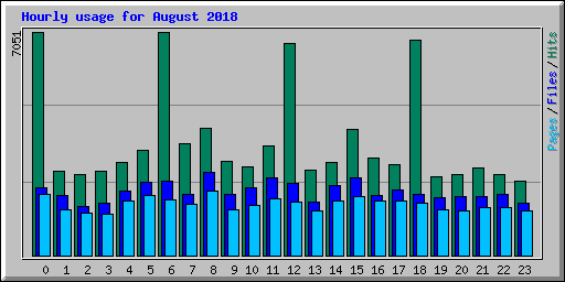 Hourly usage for August 2018