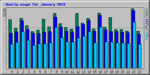 Hourly usage for January 2019