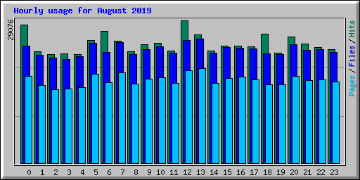 Hourly usage for August 2019