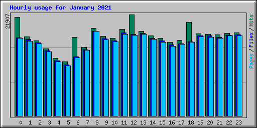 Hourly usage for January 2021