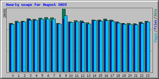 Hourly usage for August 2022